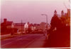 More Sheep On Cosstington Road